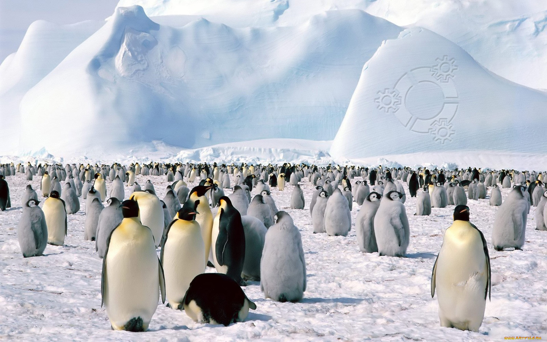 , ubuntu, linux